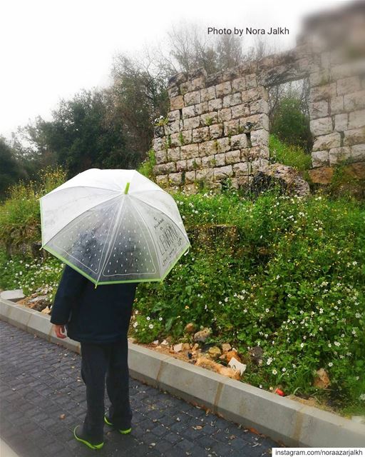 April showers bring May flowers💚💛 rain  aprilrain  trees  springflower ... (Qurnat Shahwan, Mont-Liban, Lebanon)