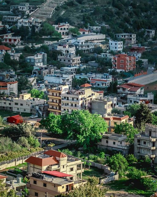 🏡🏡🏡🏡... (`Aramtá, Al Janub, Lebanon)