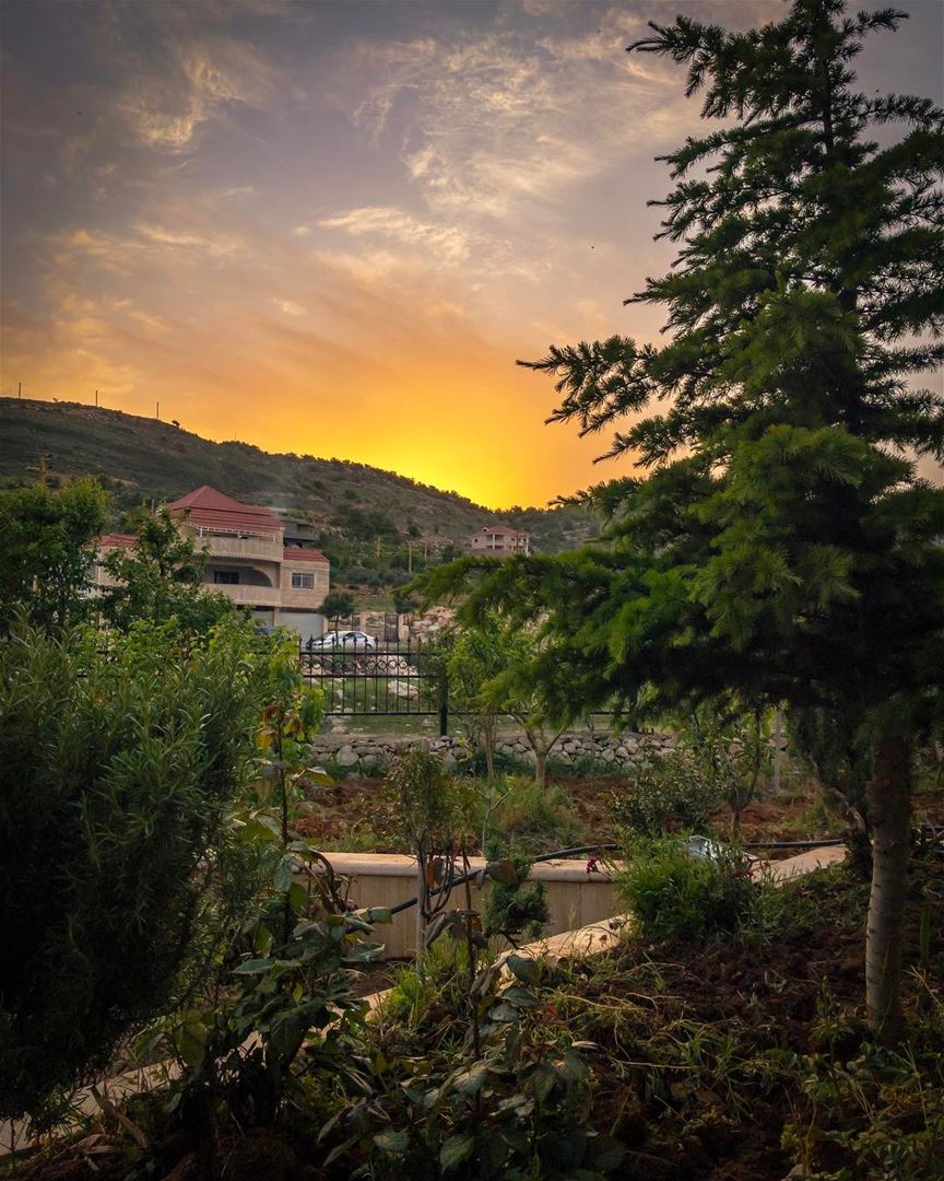  aramta southern sunset sunshine nature landscape lebanon_hdr... (Aaramta, Al Janub, Lebanon)