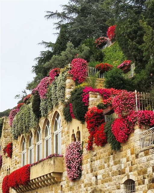 ... archinature 😊------.. Lebanon_HDR  Ливан  Бейрут  mylebanon ... (Broummâna, Mont-Liban, Lebanon)