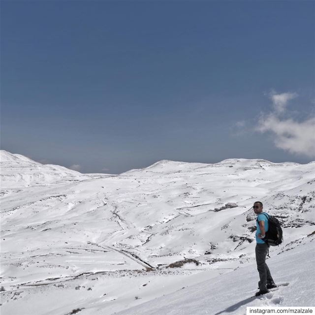 Are you a summer or a winter person? Submit your 3000 words essay to... (Zaarour)