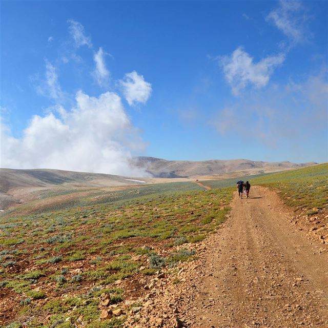 Are you ready for a challenge?💪Check our coming event: Sunset hike to... (My Adventures Lebanon)