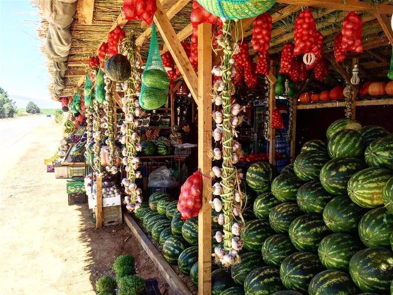 Are you wearing a  sombrero ? ---------------------------------... (Khirbet Qanafâr, Béqaa, Lebanon)