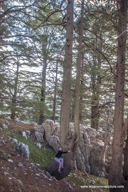 Arez El Rab Jaj - Mount Lebanon