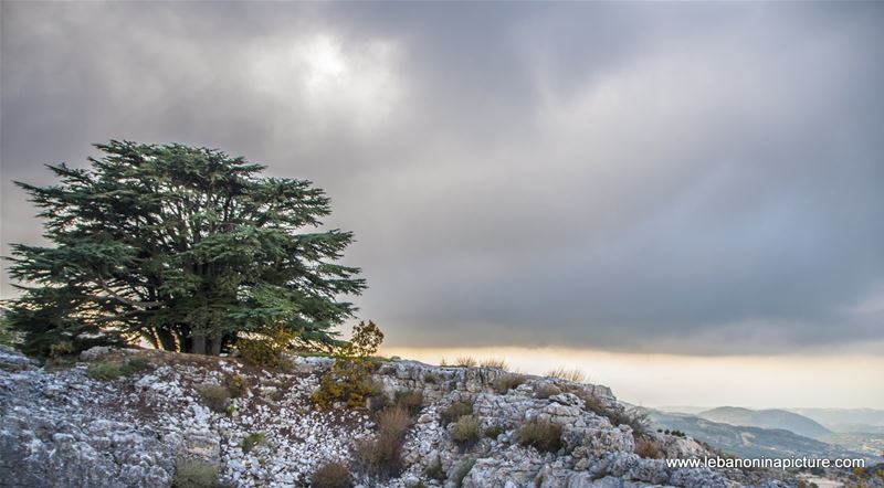 Arez El Rab Jaj - Mount Lebanon