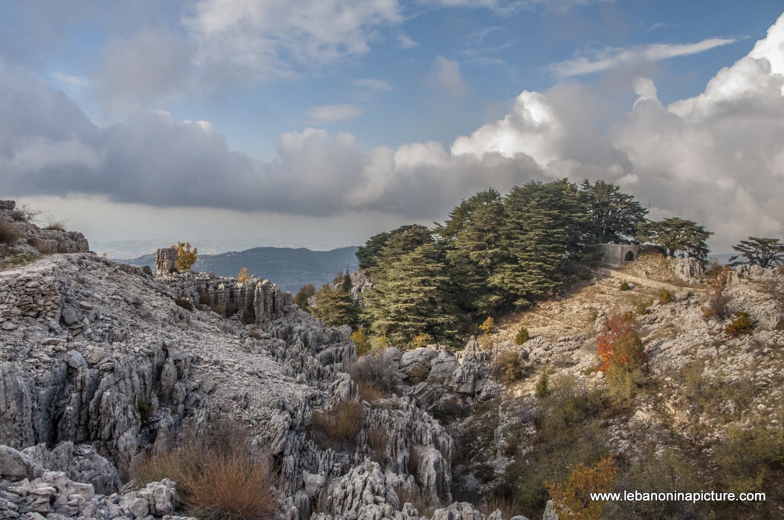 Arez El Rab Jaj - Mount Lebanon