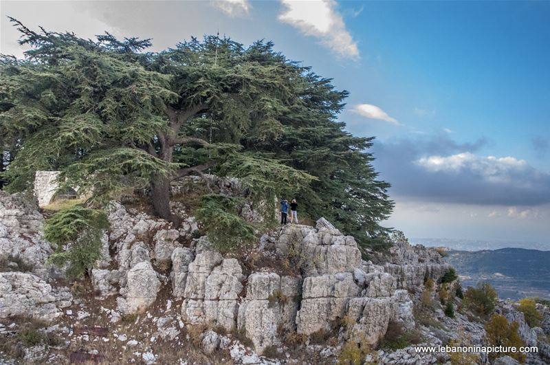 Arez El Rab Jaj - Mount Lebanon