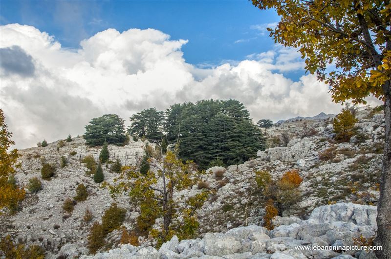 Arez El Rab Jaj - Mount Lebanon