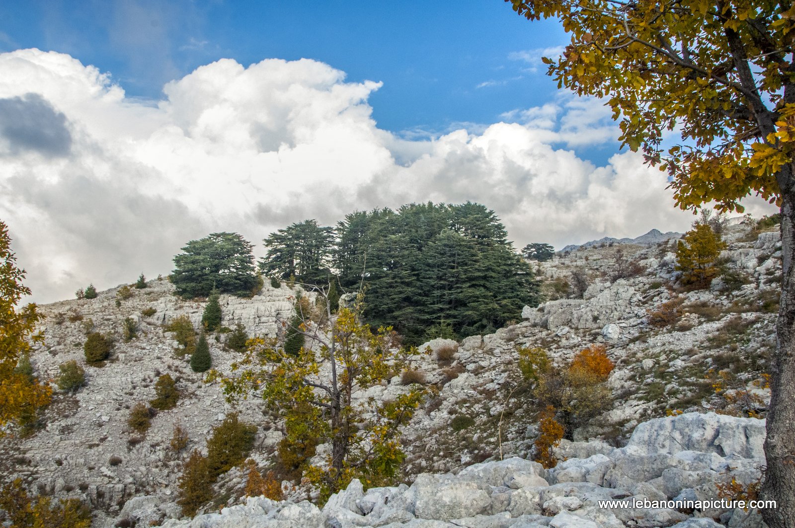 Arez El Rab Jaj - Mount Lebanon