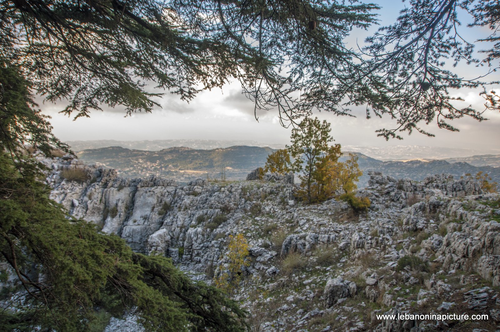 Arez El Rab Jaj - Mount Lebanon