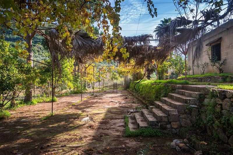 Around the convent  lebanon ...