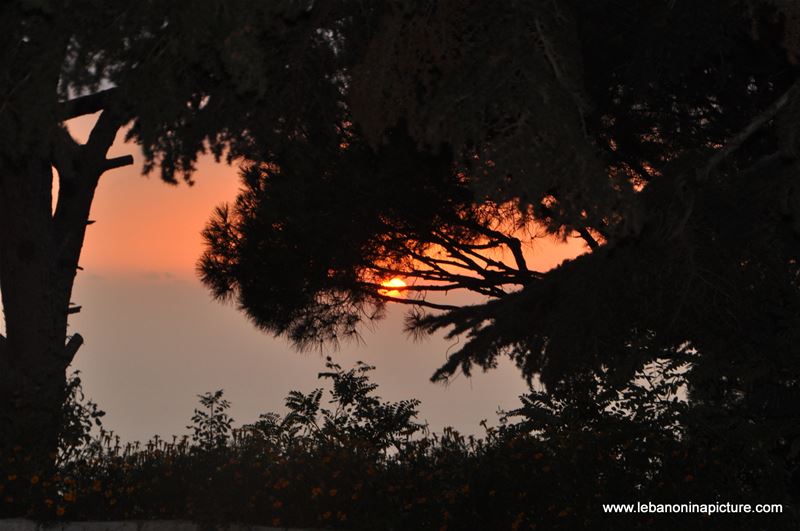 Around the World in Beit Chabeb