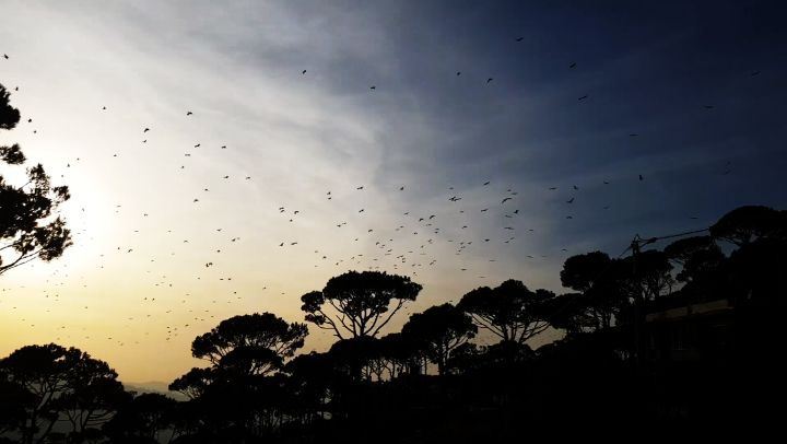  aroundtheworld  instanature  niceview  bucketlistadventures ... (Qurnayil, Mont-Liban, Lebanon)