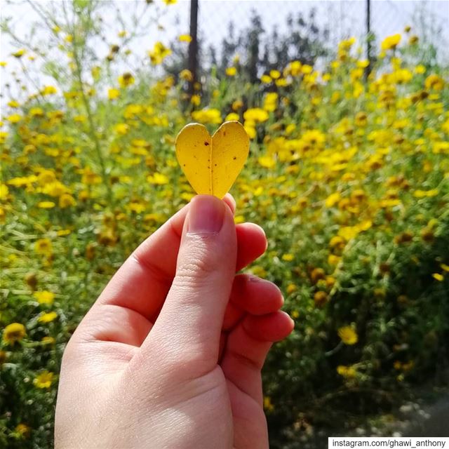 Art of the Creator💛_______________________________ spring  springseason... (Mount Lebanon Governorate)