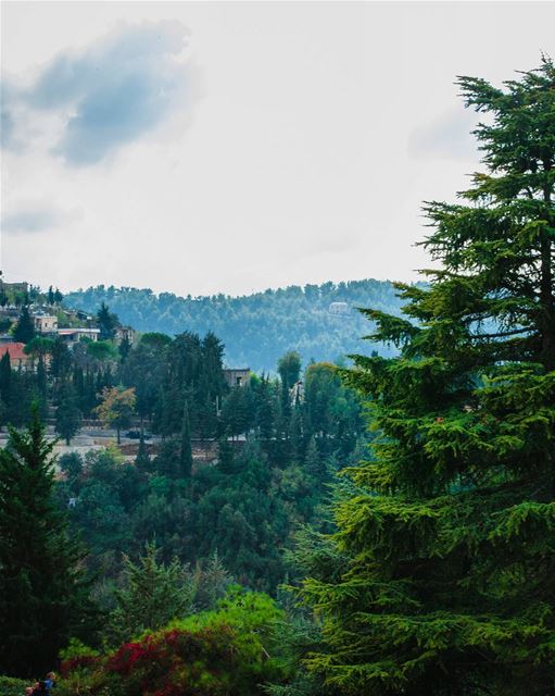 Arz El Chouf 🌲 Morning  deirelqamar  Chouf  District  Nature  Mountains ... (دير القمر - Deir El Qamar)