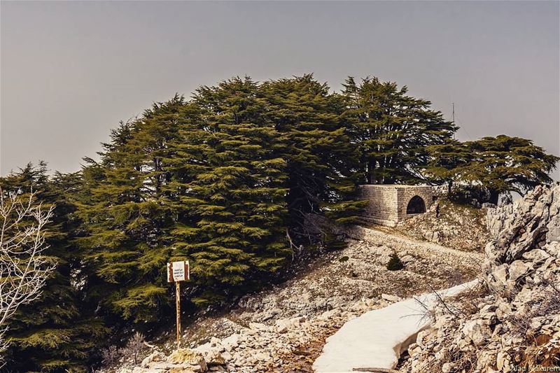 Arz Jaj, Lebanon lebanon  hiking  nature  outdoors  livelovelebanon ... (Arez Jaj)