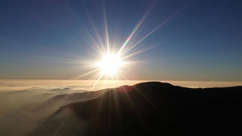 As a flower craves the light of the sun to grow, we desperately need the... (Faraya, Mont-Liban, Lebanon)