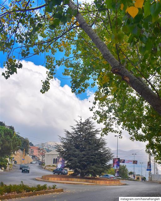 As fall is blooming, so is love in  Ehden 🍁💚🍂... (Ehden, Lebanon)