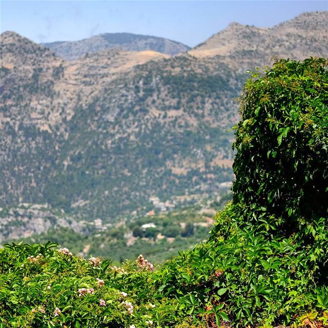 As good as it gets 2... northlebanon  meetlebanon  livelovelebanon ... (Châtîne, Liban-Nord, Lebanon)