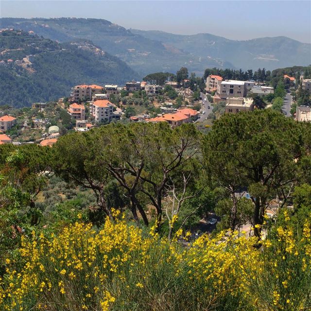 As long as the landscape is 80% nature and 20% buildings there is hope. ... (Dayr Al Qamar, Mont-Liban, Lebanon)