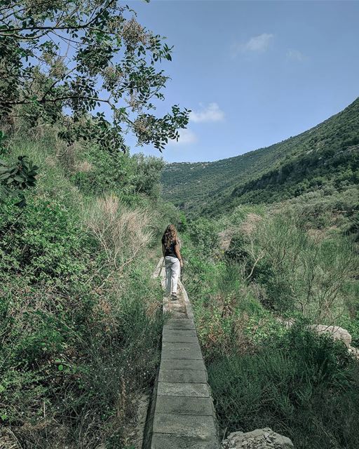 As you start to walk out on the way, the way appears 👣 - Rumi ... (Hâqel, Mont-Liban, Lebanon)