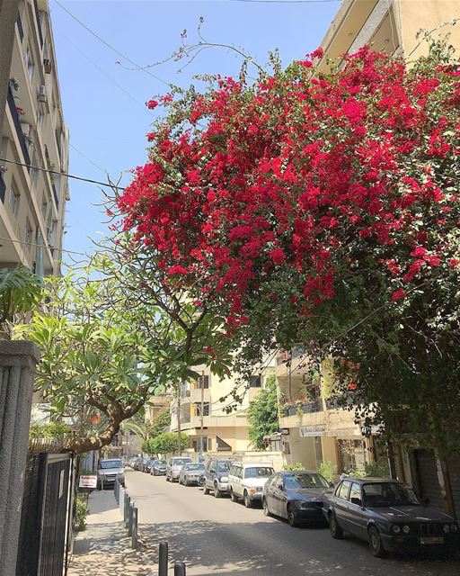 Ashrafieh Area • Beirut Lebanon • 🇱🇧.....  beautifullebanon ... (Beirut, Lebanon)