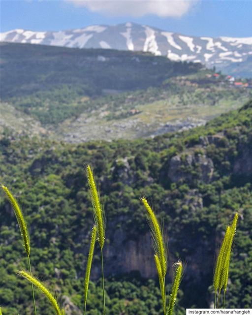 Ask not what your country can do for you, ask what you can do for your... (Ehden, Lebanon)