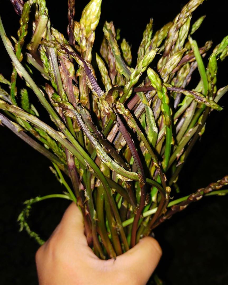 Asparagus bouquet anyone ? ... asparagus  healthyfood  picoftheday ...
