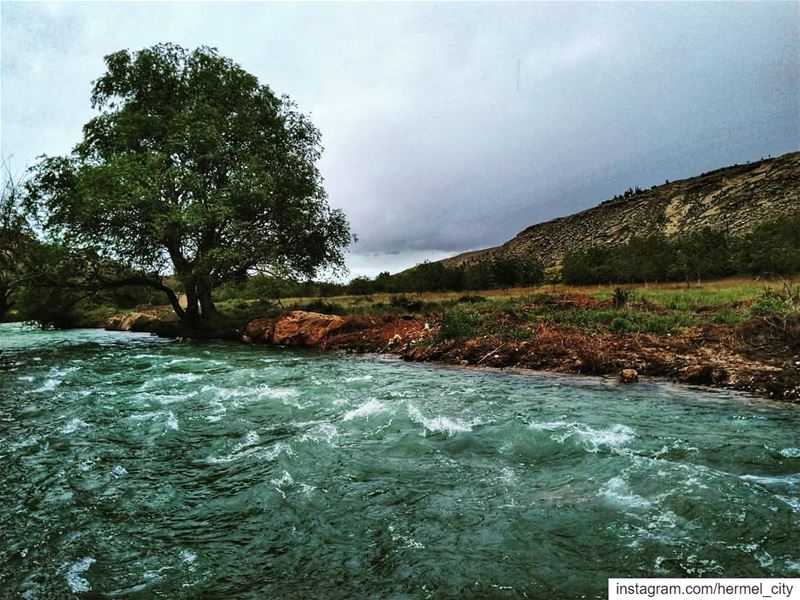  assiriver by @firassafwan hermel  hermel_city  bekaa  lebanon_pictures  ... (El Hermel, Béqaa, Lebanon)