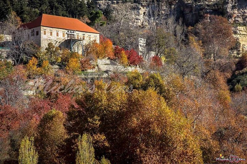 At ehden  lebanonbylocal  discover961  lebanon  thebestinlebanon ...