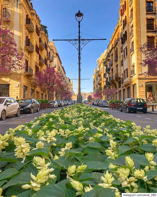 At every crossroad, you will find choice..... neverstopexploring ... (Downtown Beirut)
