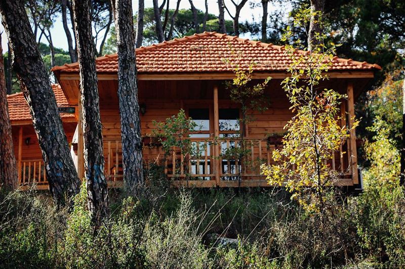 At home with nature 🏡🌳🍂  LaMaisonDeLaForet  Bungalow  Woods  Forest ...