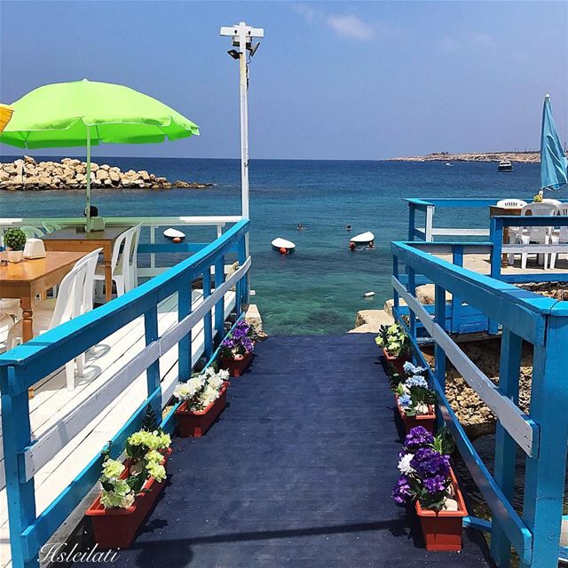 At sea we learn how little a person needs,not how much❤️ whatsuplebanon ... (Ta7t El Ri7 - Anfeh)