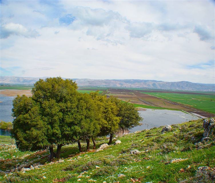 At some point in life, the world's beauty becomes enough~  loves_lebanon ... (West Bekaa)