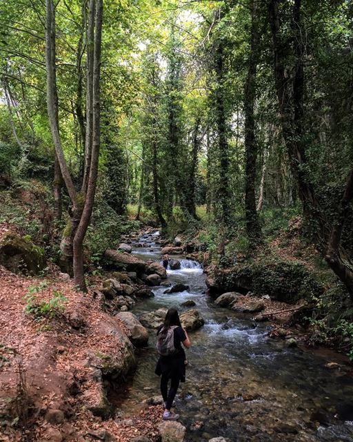 At some point in life, the world's beauty becomes enough 🎈 📷 @jmsaidi (Ouâdi Qannoûbîne, Liban-Nord, Lebanon)