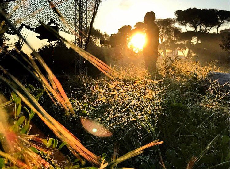 At sunrise everything is luminous but not... (حرش بيروت Herch Beirut)