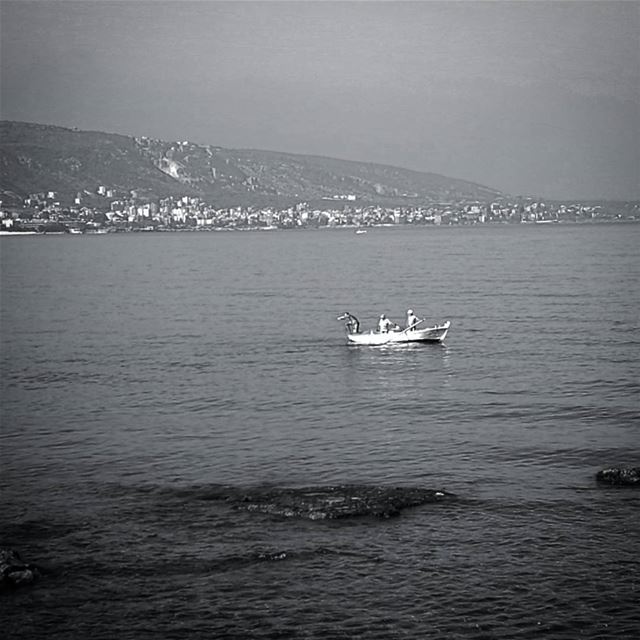 At the coast -  ichalhoub in  Tripoli north  Lebanon /  whatsuplebanon ...