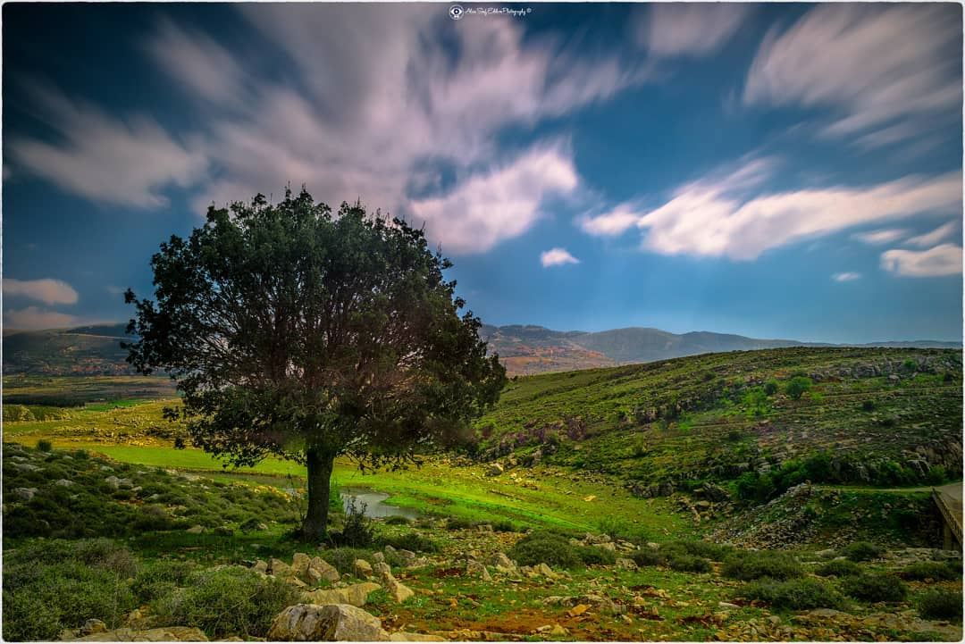 At this spot, life turns only beautiful,  inspiring,  relaxing and joyful.... (Saghbîne, Béqaa, Lebanon)