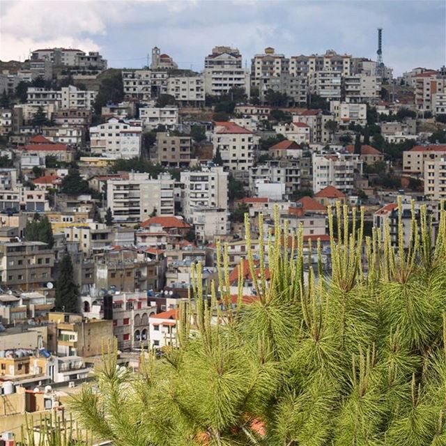 Au coeur du Bekaa 🌱🌿🍃••••••••••••••••••••••••••• prolebanon ... (Zahlé, Lebanon)