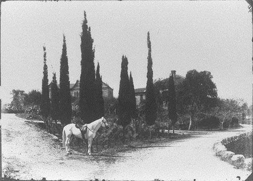 AUB College Hall and Marquand House, with White Horse of President Daniel Bliss  1890s