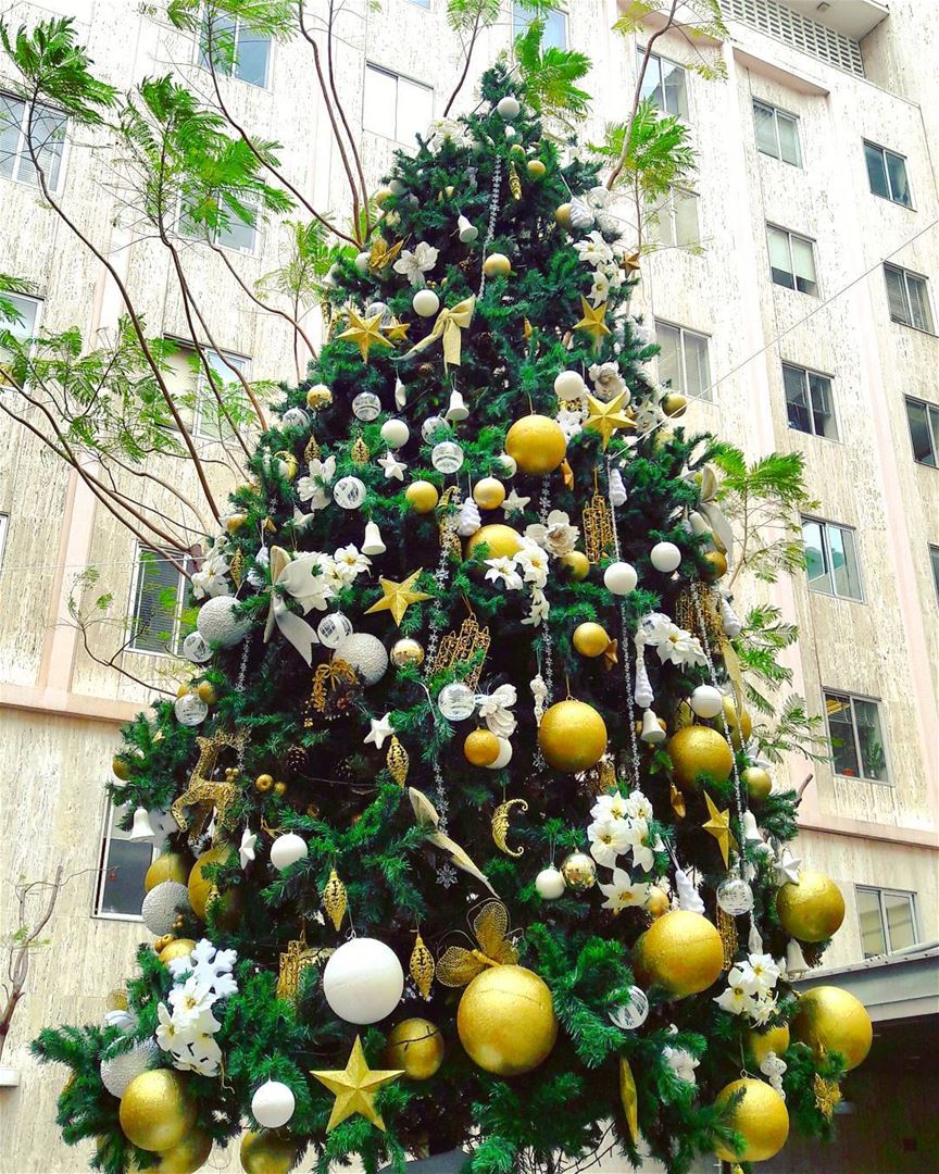 AUBMC's Christmas tree 😍 AUBMC  AUB  LiveLoveAUB  LiveLoveBeirut  ... (AUBMC)