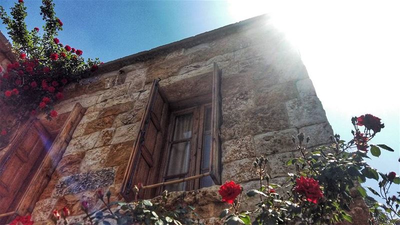 Authenticity at its best..  ancient  simple  calm  wooden  window  flowers... (Atelier Assaf Assaf)