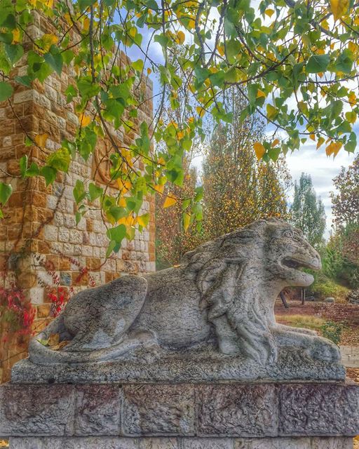 Authenticity is the key to Determination. Never go backwards, move forward, (Ehden, Lebanon)