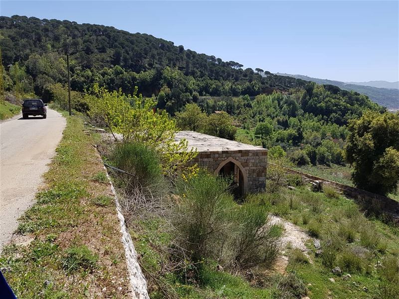  Authenticity  nature  spring  parasites  oldhouse  greeneverwhere  green ... (El Machraa, Mont-Liban, Lebanon)