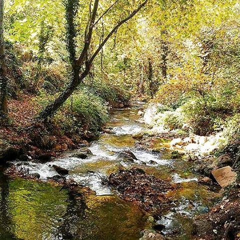  automn naturecolors natureadventure naturephotography hiking🌲... (Wadi qannoubine)