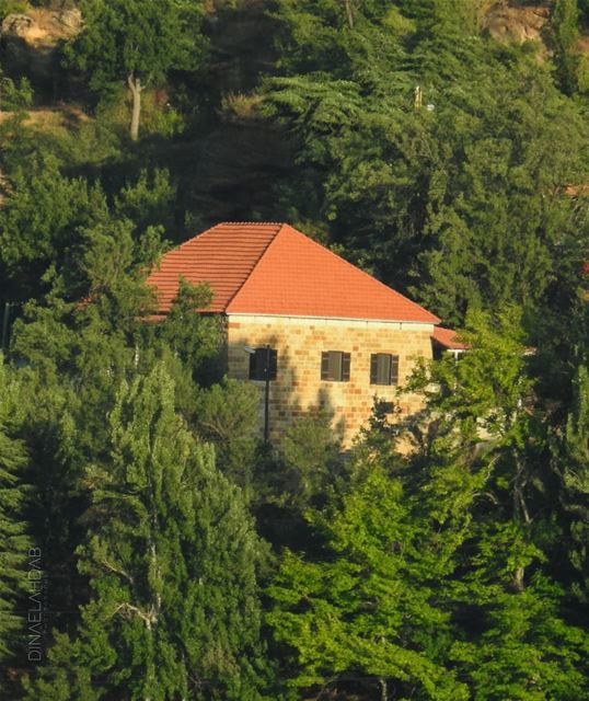 Autrefois, on aimait et craignait la nature, puissante, imprévisible comme... (Ehden, Lebanon)