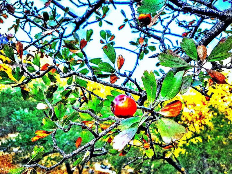  autumn🍁  autumn ...