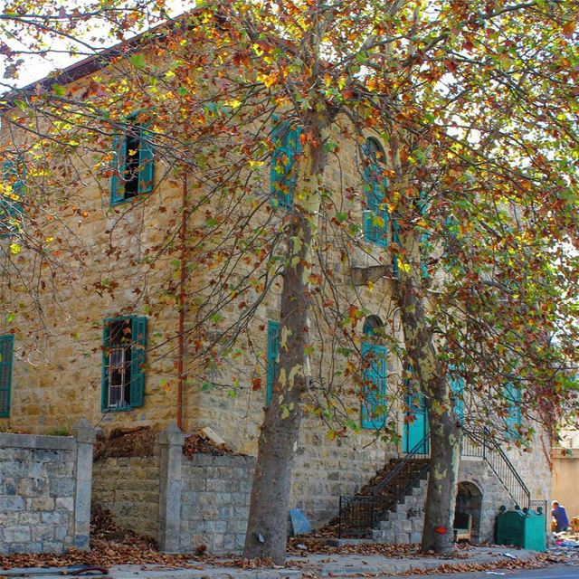  autumn  autumncolors  automne  couleurda (Sawfar-صوفر)