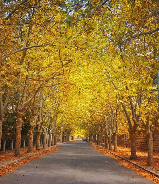Autumn🍁😍 beautifuldestinations  livelovebeirut  livelovesawfar ... (Sawfar, Mont-Liban, Lebanon)