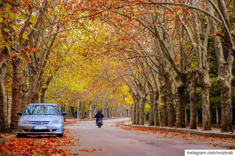 Autumn carries more gold in its pocket than all the other seasons.. 🍂🍂 == (Sawfar, Mont-Liban, Lebanon)